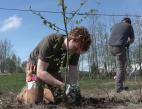Students from Green River College and members of Northwest Youth Corps assisted with the sentinel tree planting project