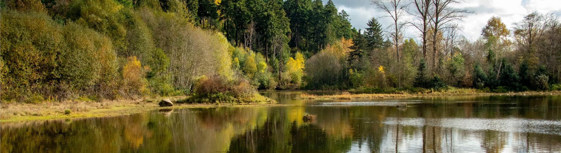 Environmental Leadership