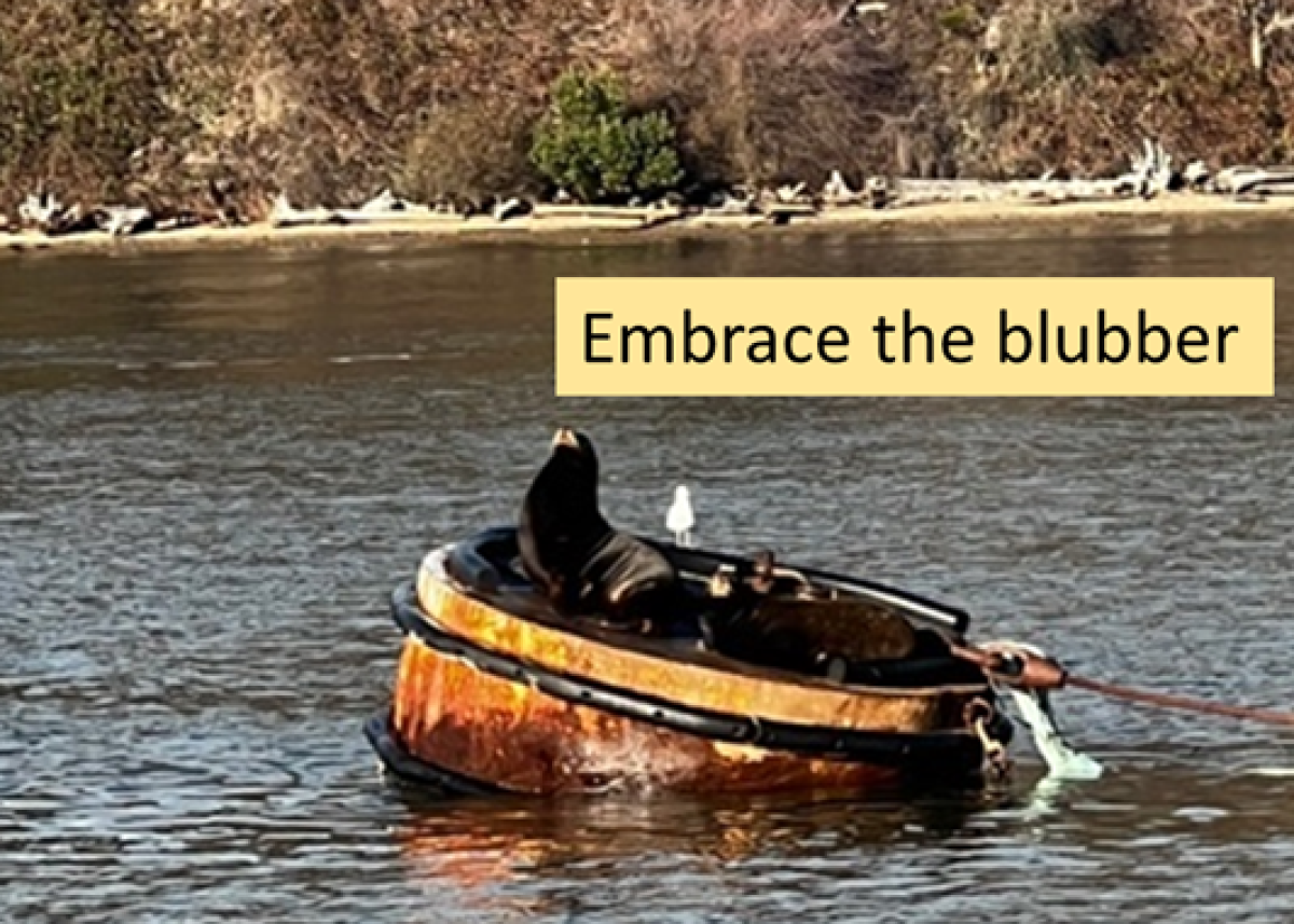Embrace the blubber