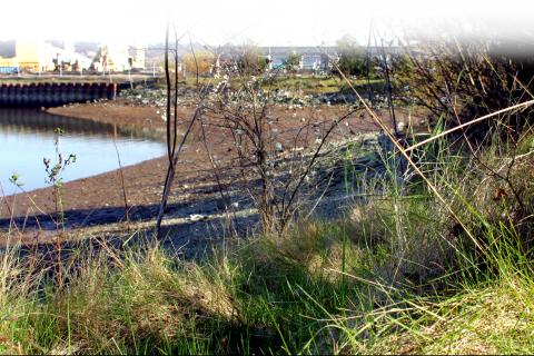 qwiqwǝlut is the site of a former fertilizer plant