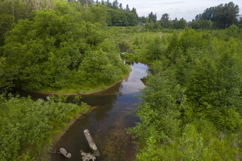 Upper Clear Creek habitat site