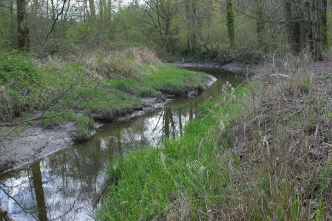 Lower Clear Creek