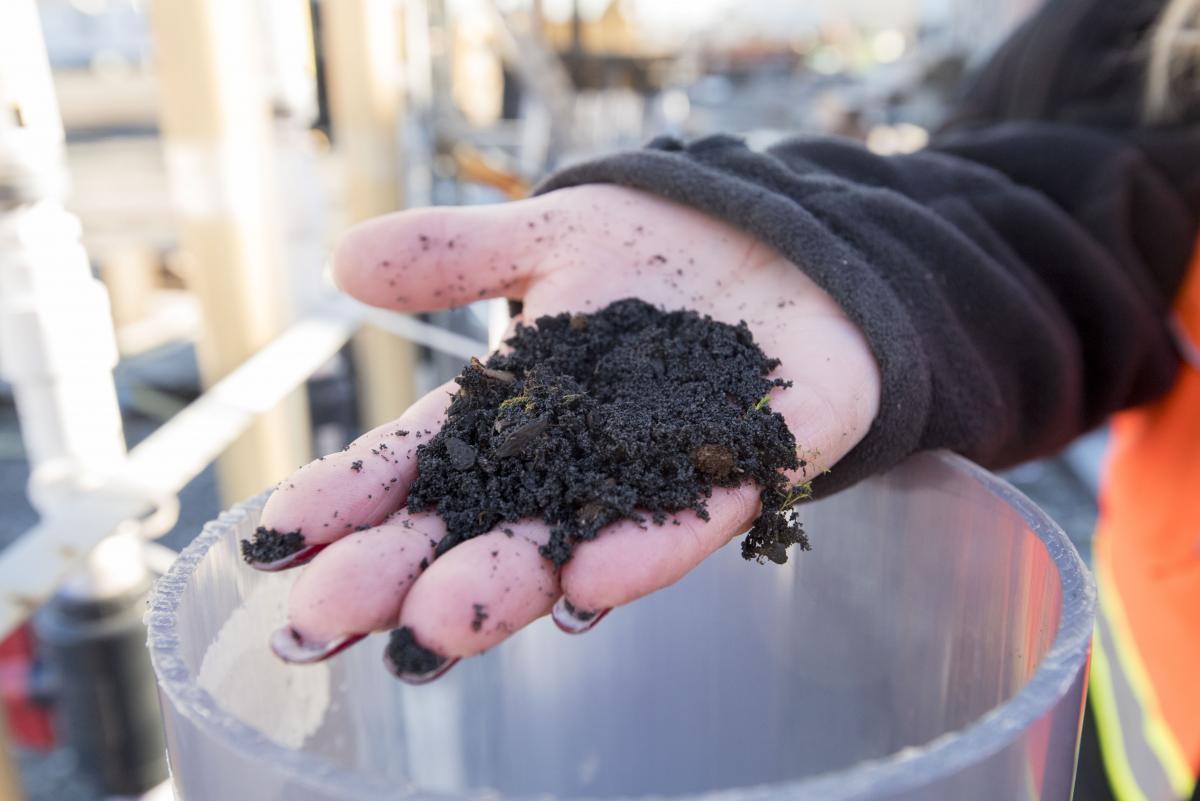 photo of soil in a person's hand