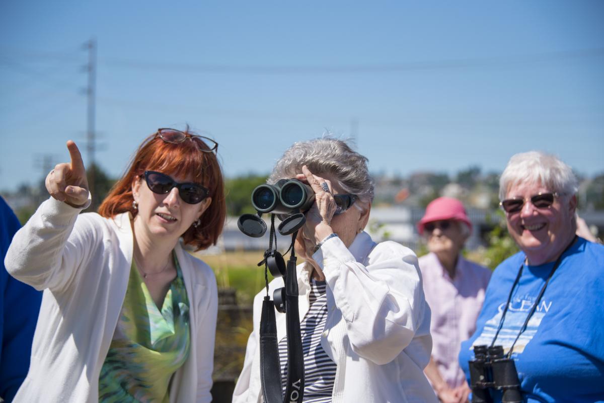 photo of a group birdwatching