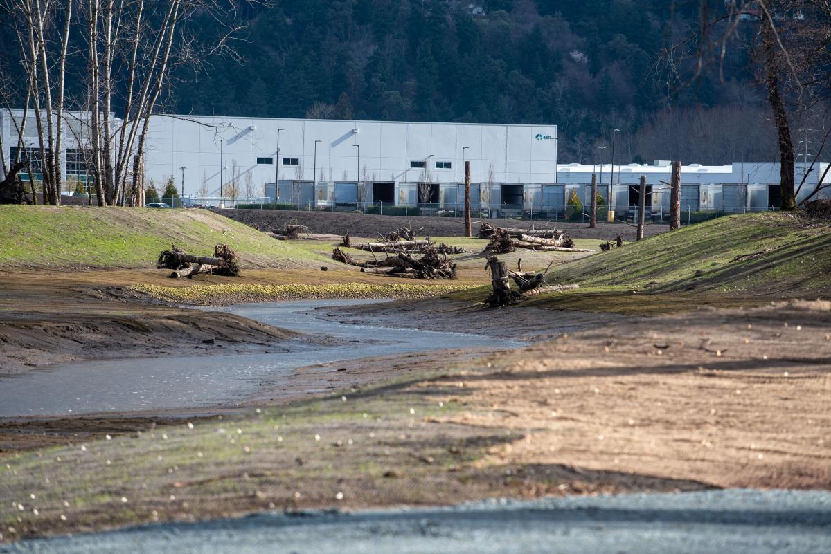 Lower Wapato Creek