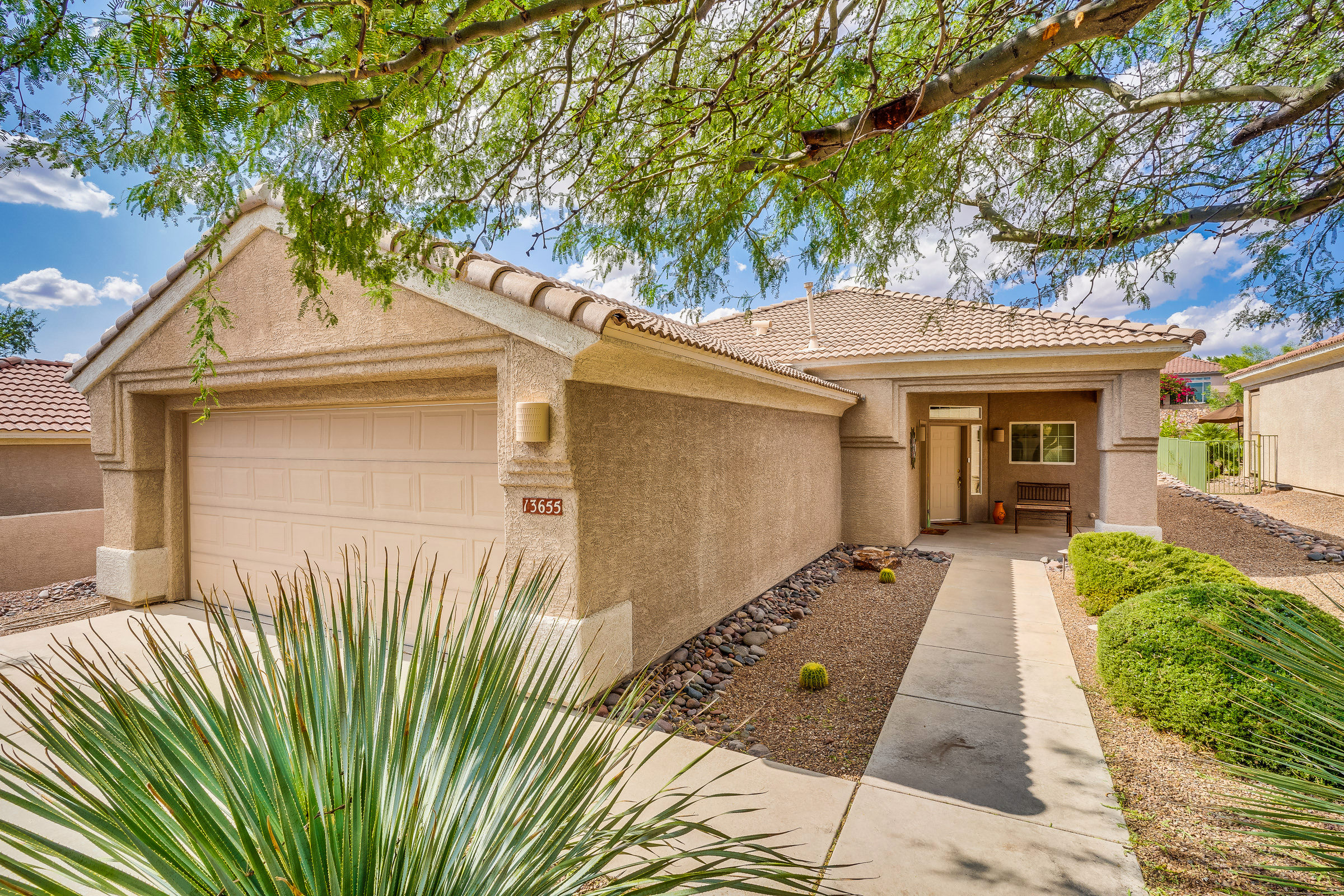 13655 North Gold Cholla Place