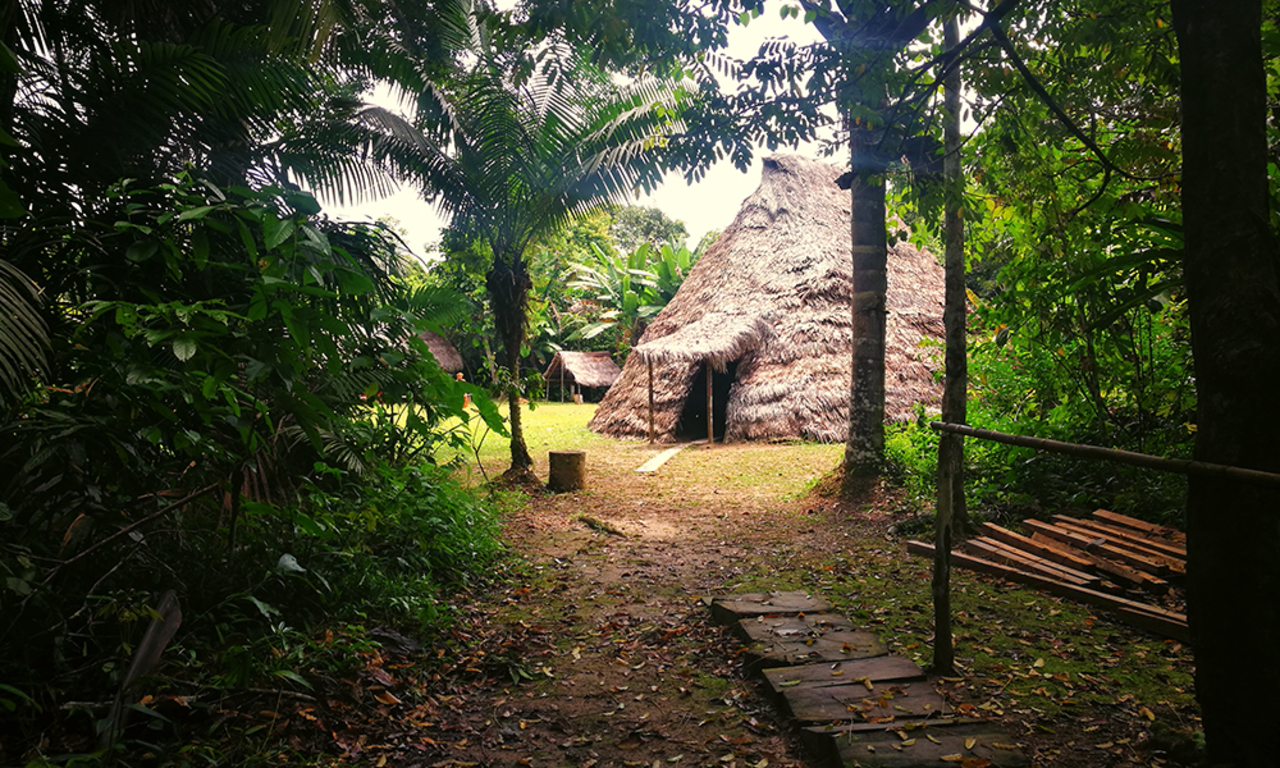 Kawsay Ayahuasca Retreat E.I.R.L. - Center - Retreat Guru