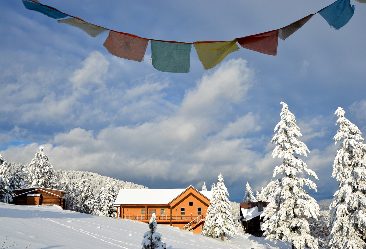 The importance of finding a teacher: Sravasti Abbey