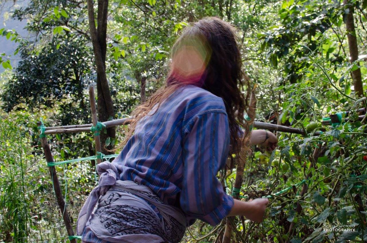 The journey of shamanic permaculture