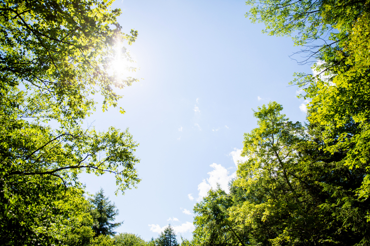 How do monasteries fit into modern Western culture? Zen Community of Oregon