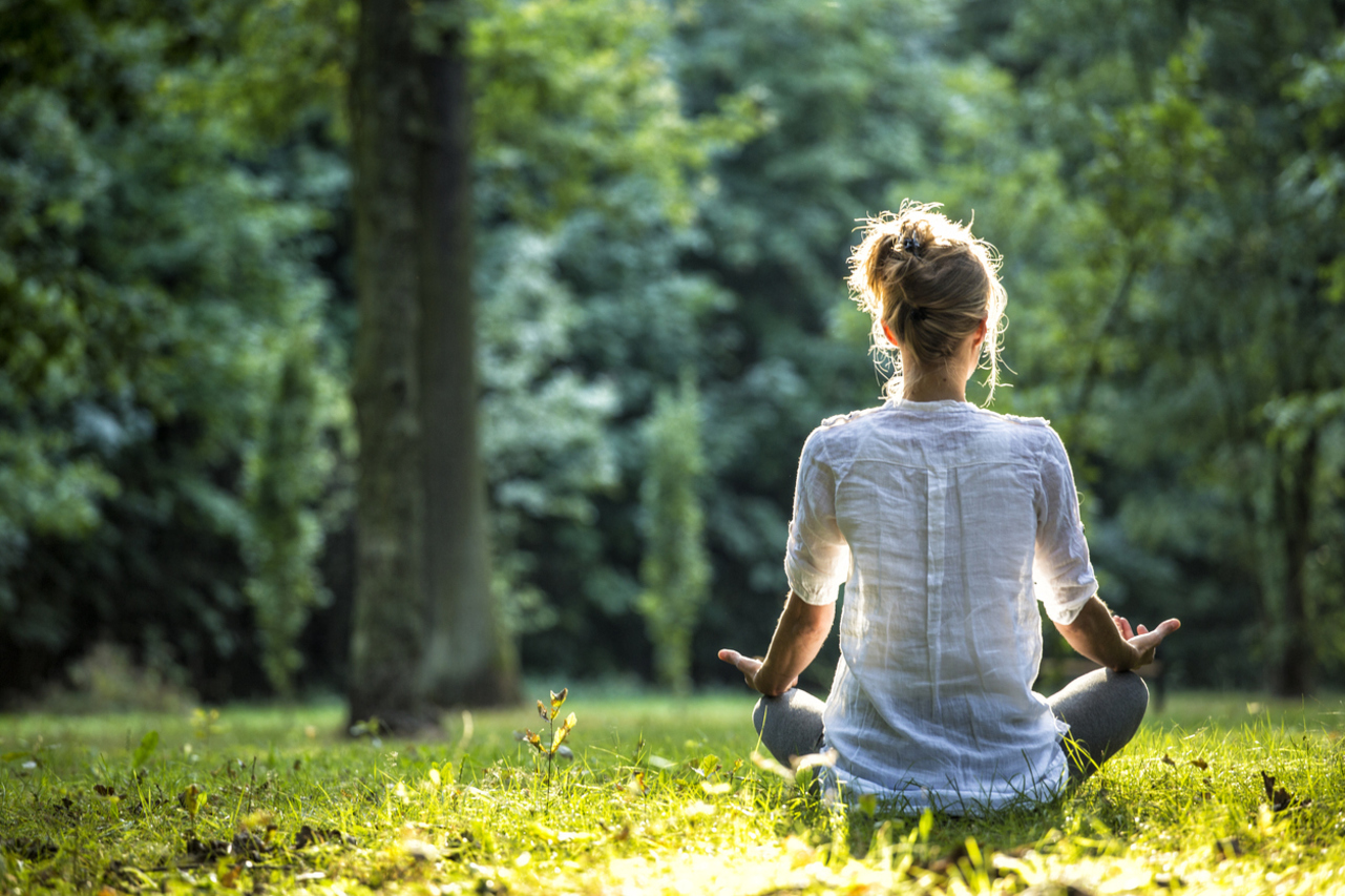 Preparing the mind for plant medicine