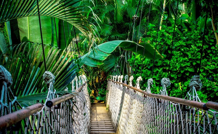 How do I prepare for my first Ayahuasca journey?