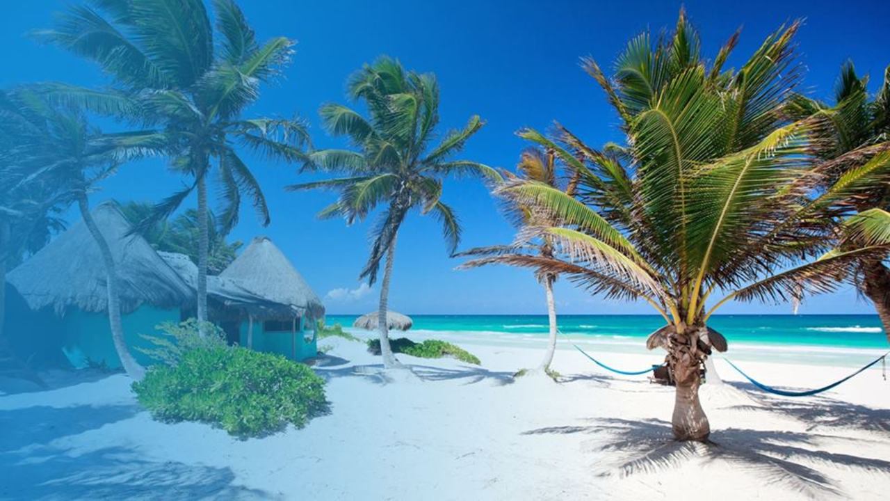 Hours Tantra Massage Therapist Training Acapulco Mexico Hours Tantra Massage Therapist Training Acapulco Mexico
