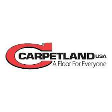 269 Carpetland USA, Iowa logo
