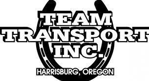 Team Transport, Inc. logo