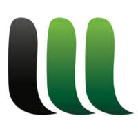 LIFEWORKS TECHNOLOGY GROUP LLC logo