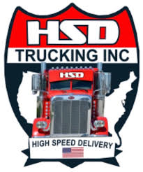 HSD Trucking Inc logo