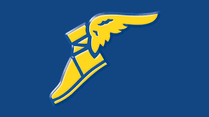 Goodyear/Cooper Tire & Rubber Company logo