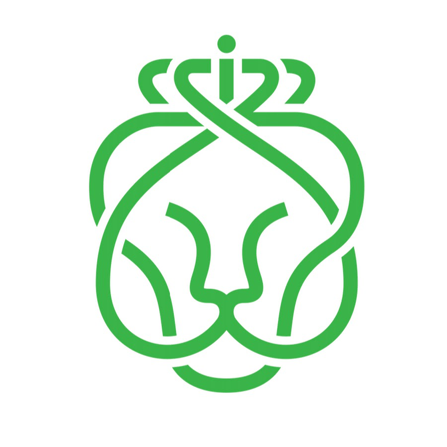 Ahold Delhaize logo
