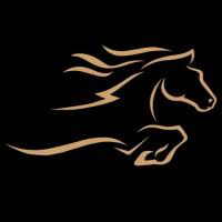 Bronco Transportation Services logo