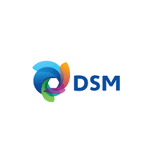 DSM logo