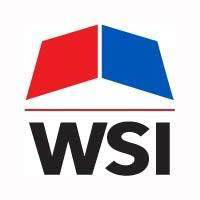 WSI Freight Solutions logo