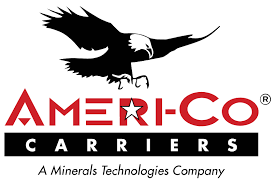 AMERI logo