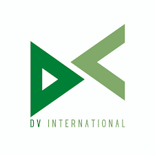 DV INTERNATIONAL INC logo