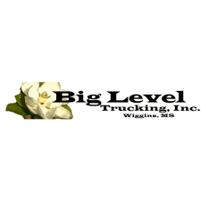 Big Level Trucking logo