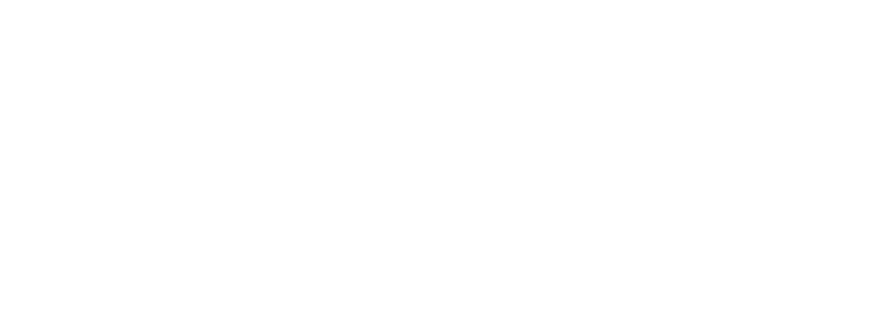 Alumni to Alumni Mentoring Program logo 2