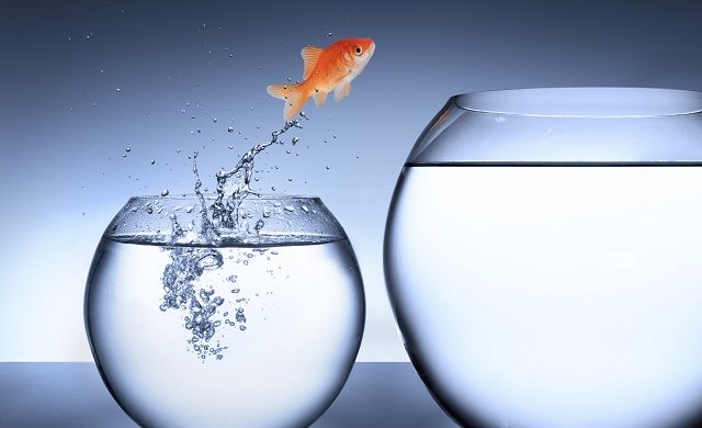 Growing day by day with mentoring