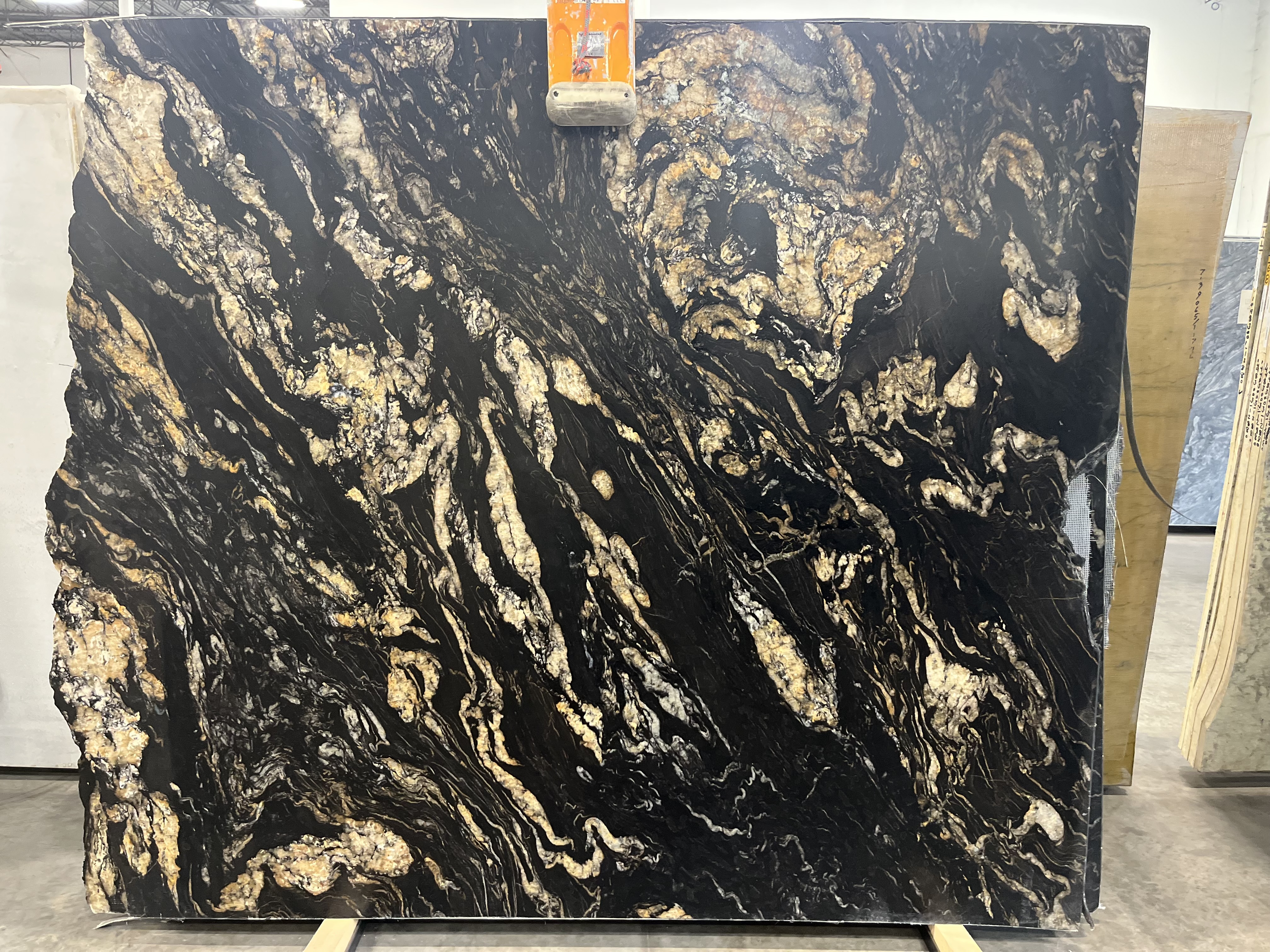 TITANIUM GOLD SUPREME 3CM LEATHERED SHADES OF BLACK NATURAL