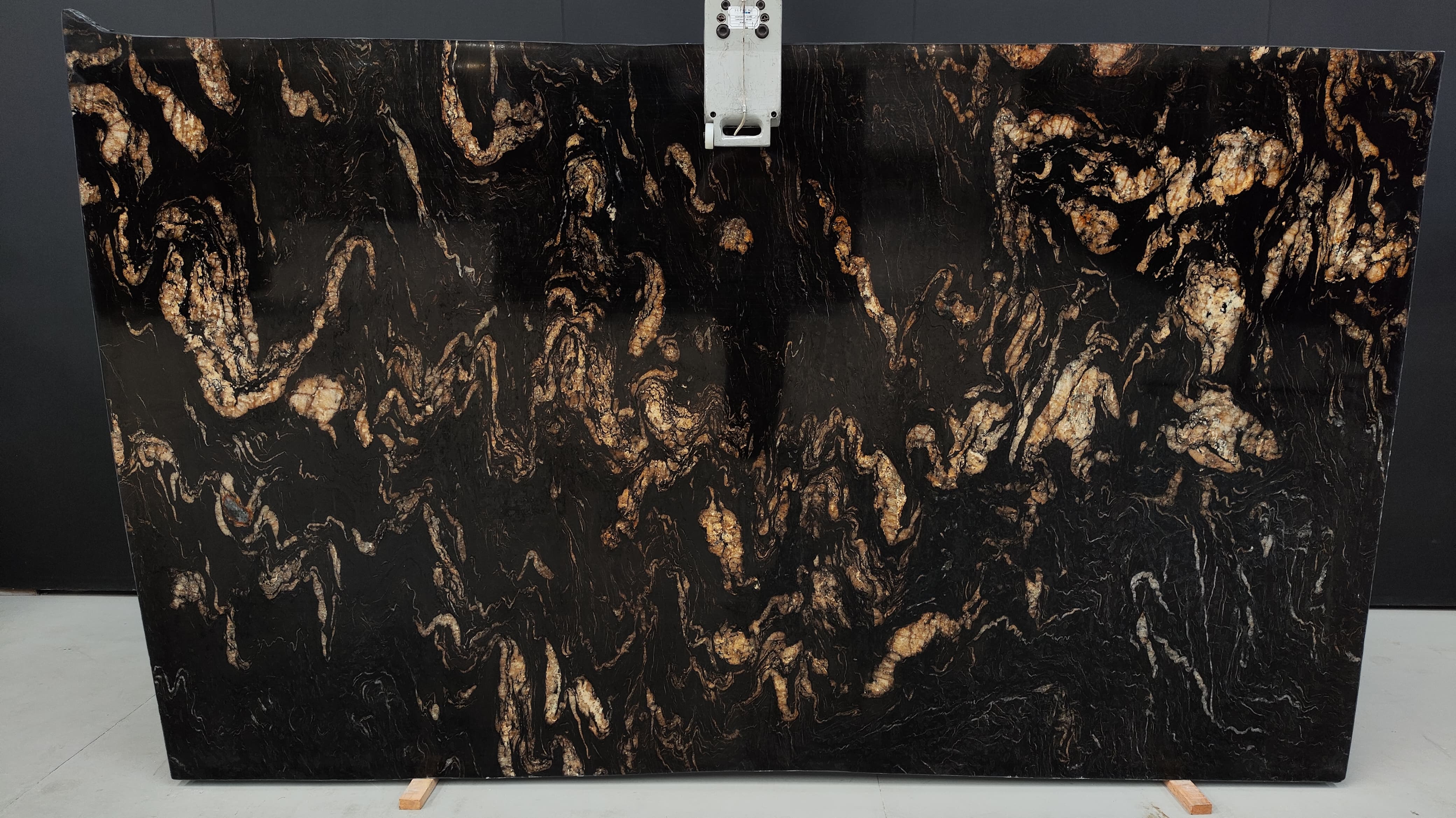 TITANIUM GOLD SUPREME 3CM LEATHERED SHADES OF BLACK NATURAL