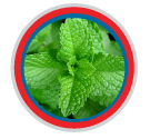 menta