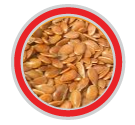 semilla de linaza