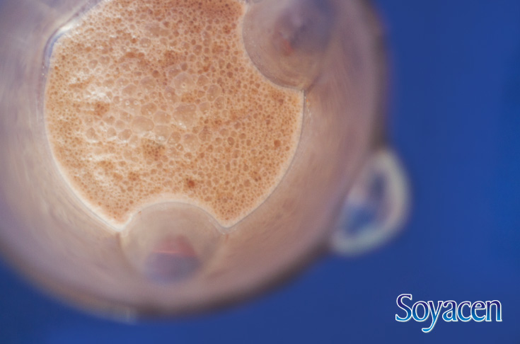 BLOG Soyacen | Malteada de chocolate con Soyacen