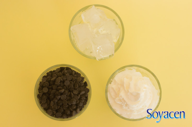 Ingredientes Frappé de Soyacen Bebida de Soya en Polvo