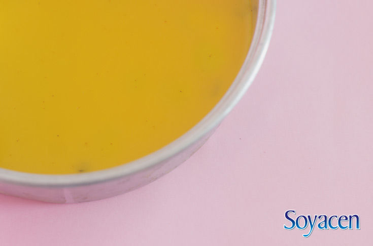 Recetas Soyacen | Golden Milk (Soyacen, cúrcuma, jengibre, canela, poquita pimienta)