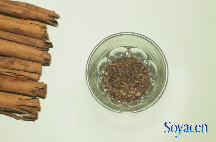 Ingredientes para té verde con Soyacen | BLOG Soyacen | pronacen.com