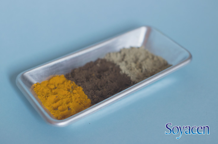 Ingredientes para té de especias con Soyacen | BLOG Soyacen | pronacen.com