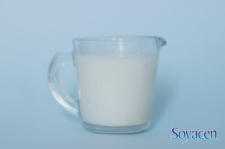 Receta de té de especias con Soyacen | BLOG Soyacen | pronacen.com