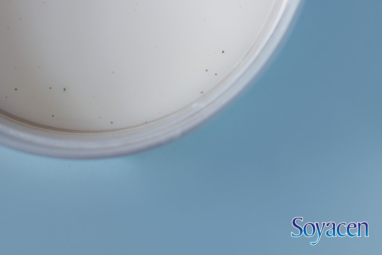 Receta de té de especias con Soyacen | BLOG Soyacen | pronacen.com