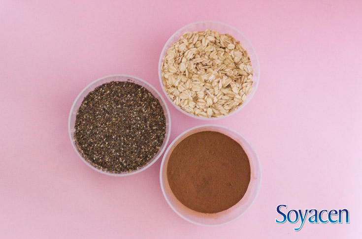 Ingredientes para la receta de pudín de chía con Soyacen Bebida de Soya | Blog Soyacen | pronacen.com