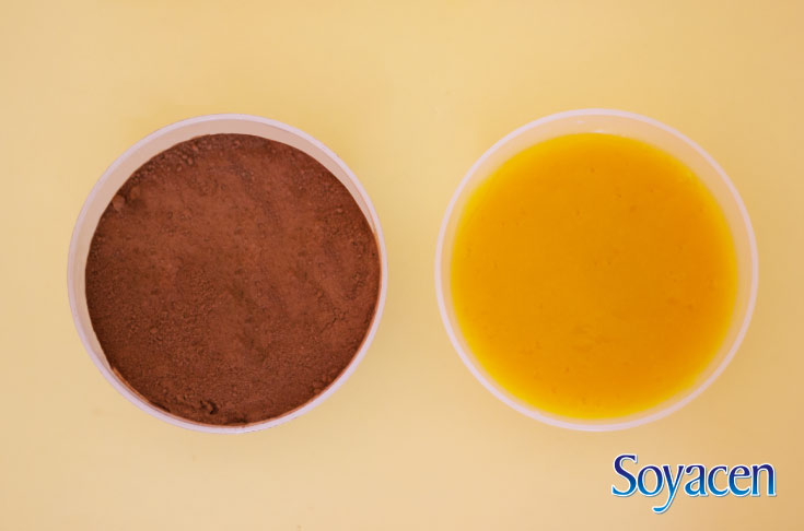 Receta de licuado de Soyacen con chocolate y mango | Blog Soyacen | pronacen.com