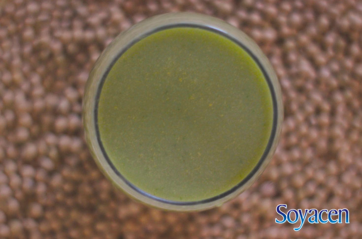 El Smoothie verde: Soyacen con Melón. | Blog Soyacen | pronacen.com