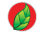 Pronacen