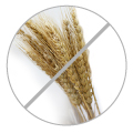Libre de gluten