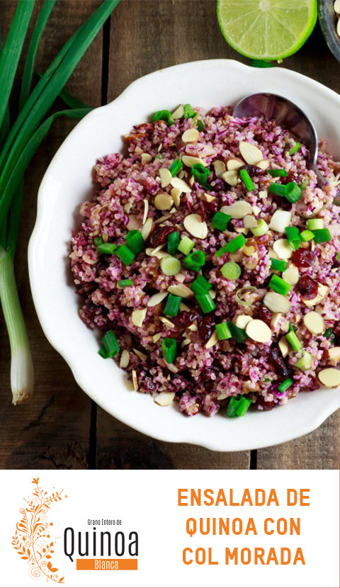 Receta de ensalada de Quinoa PRONACEN con Col Morada