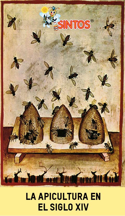 La apicultura, la crianza de las abejas, en el sigo XIV