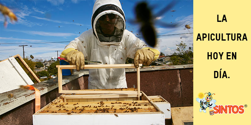 La apicultura hoy en dia